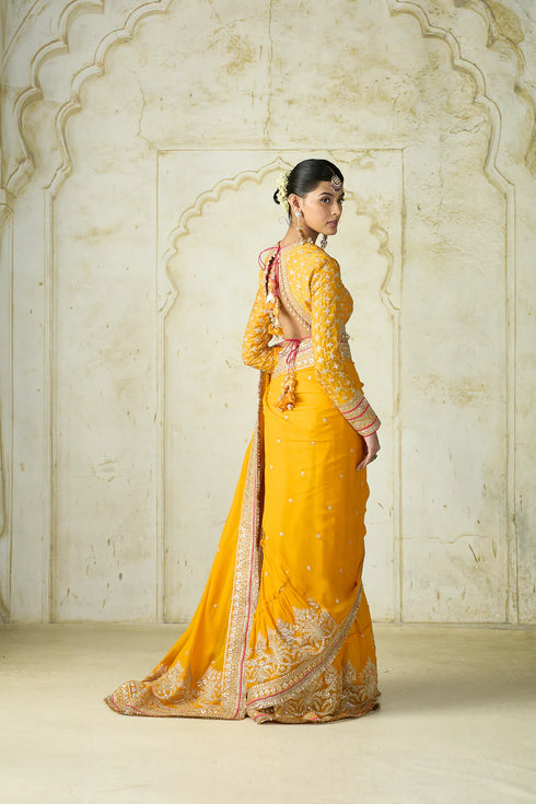 Dilruba Saree Set
